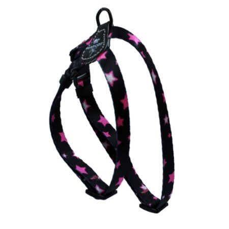 MC STARS FUCSIA PETRAL 25MM 12 A 20KG L