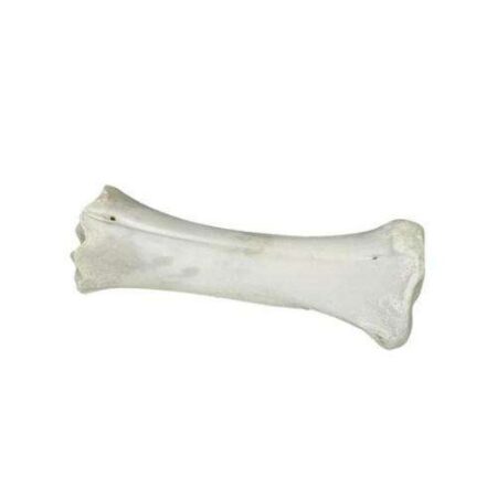 HUESO NATURAL CALCIO GRANDE
