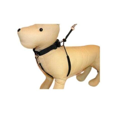 PETRAL ANDA FACIL NYLON - TALLA 2 - M
