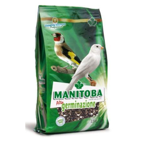 MANITOBA GERMINADO ALTA GERMINACION 2,5KG