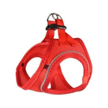 ARNES STEP & GO BENTO ROJO S 37 - 40CM