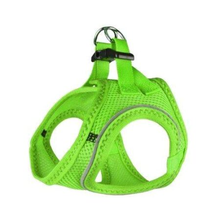 ARNES STEP & GO BENTO VERDE XL 49 - 54CM