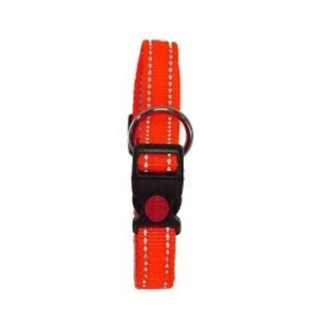 COLLAR REGUL NYLON 25MMX45 / 70CM - NARANJA