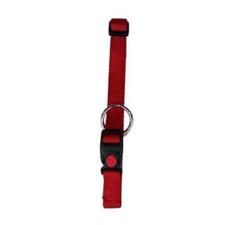 COLLAR REGUL CANVAS 10MM X20 / 30CM - ROJO