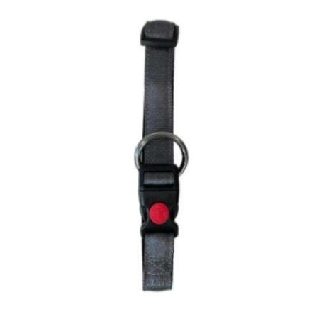 COLLAR REGUL CANVAS 15MM X25 / 35CM - GRIS
