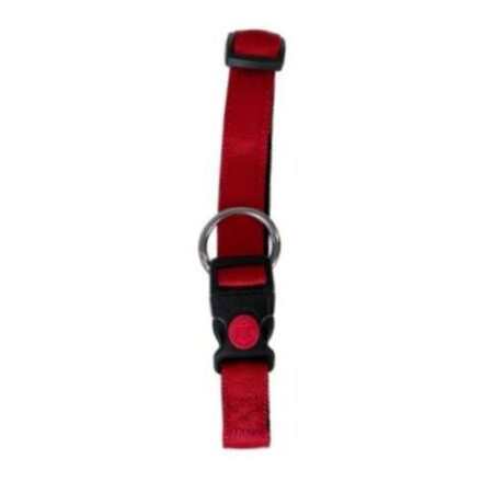 COLLAR REGUL CANVAS 15MM X25 / 35CM - ROJO
