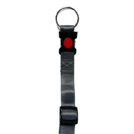 COLLAR REGUL CANVAS 20MM X30 / 45CM - GRIS