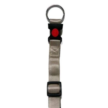 COLLAR REGUL CANVAS 20MM X30 / 45CM - BEIGE