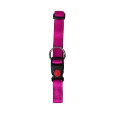 COLLAR REGUL CANVAS 25MM X50 / 65CM - FUCSIA