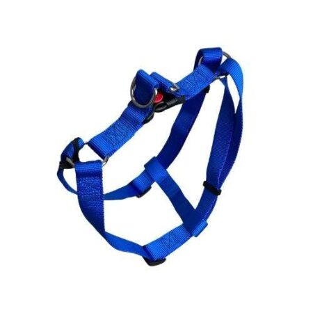 PETRAL NYLON RAPIDO 1CM 20 / 35CM - AZUL