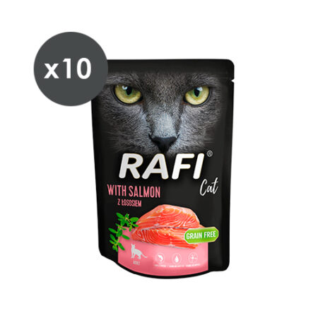 RAFI CAT PATÉ SALMON 10X300GR