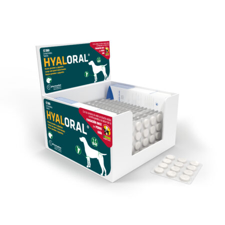 HYALORAL RG 360 COMP BLISTER (A PARTIR DE 20KG)