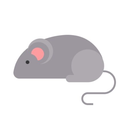Raticidas
